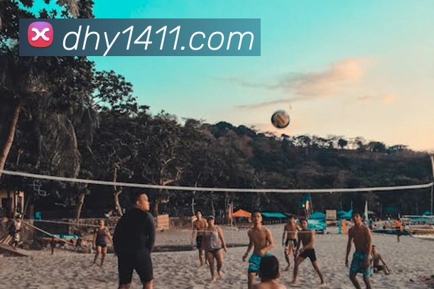 大红鹰平台品牌故事